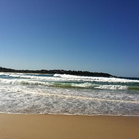 Mollymook Paradise Haven Motel מראה חיצוני תמונה