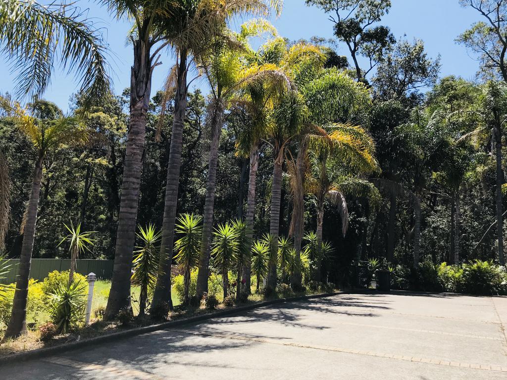 Mollymook Paradise Haven Motel מראה חיצוני תמונה